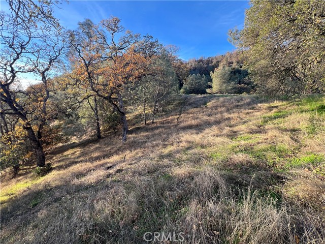 Detail Gallery Image 6 of 11 For 11872 Konocti, Clearlake Oaks,  CA 95423 - – Beds | – Baths