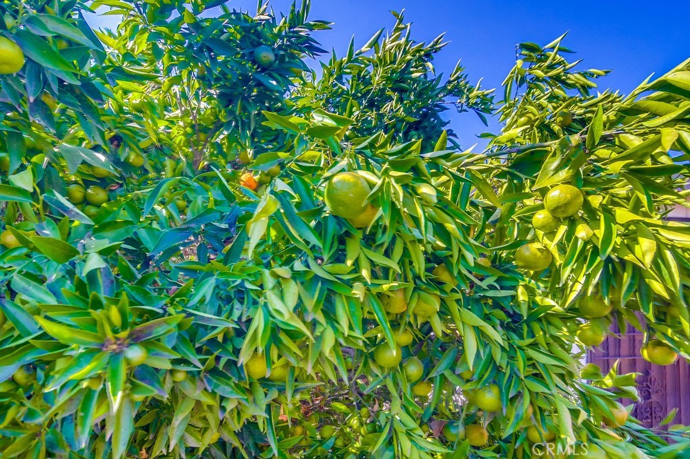 https://media.crmls.org/medias/a4452306-832b-40d6-90ec-9c69677d7d2d.jpg?preset=X-Large