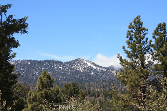 Detail Gallery Image 53 of 55 For 615 Kean Way, Big Bear City,  CA 92314 - – Beds | – Baths