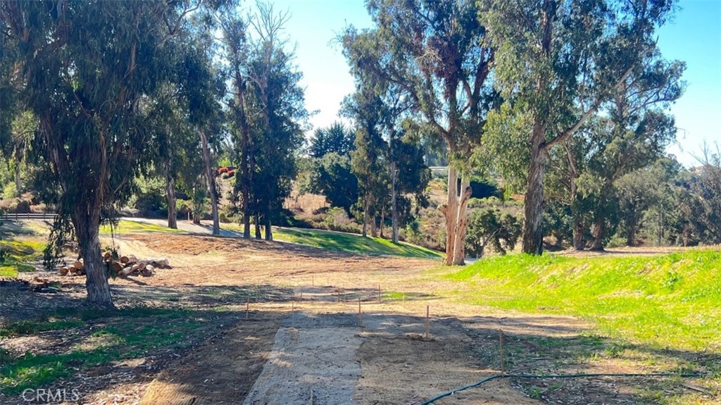 MLS #SW25072509 image #5