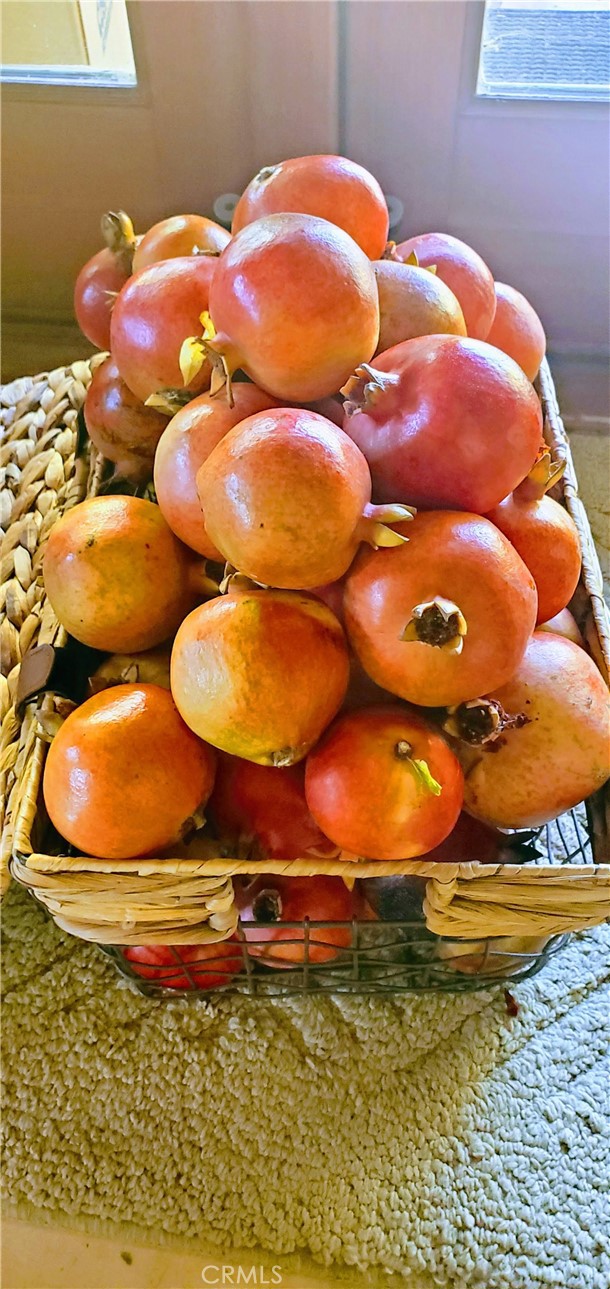 https://media.crmls.org/medias/a4526e6e-cc5c-4983-909c-950e2a8b3a87.jpg?preset=X-Large