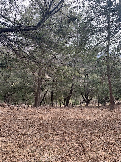 0 Fir, Cedarpines Park, CA, 92322 0 Fir, Cedarpines Park, CA, 92322