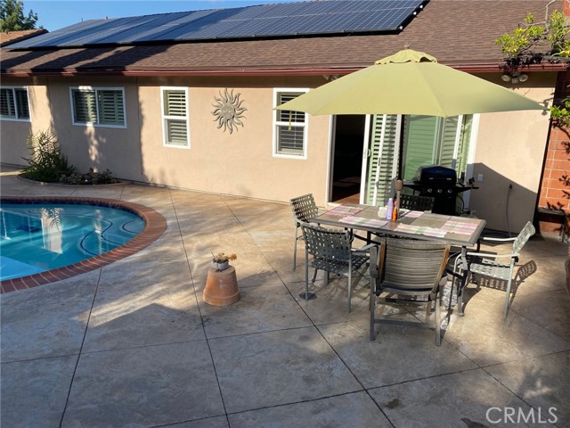 Backyard pool