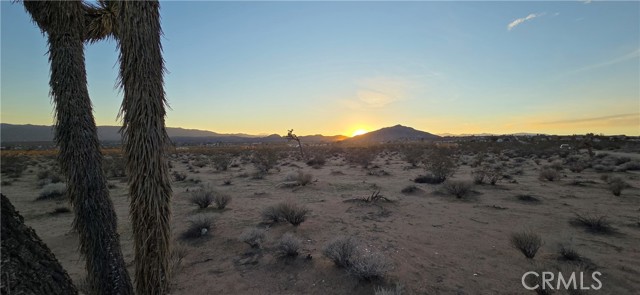 Detail Gallery Image 4 of 8 For 1 Belmont St, Joshua Tree,  CA 92252 - – Beds | – Baths