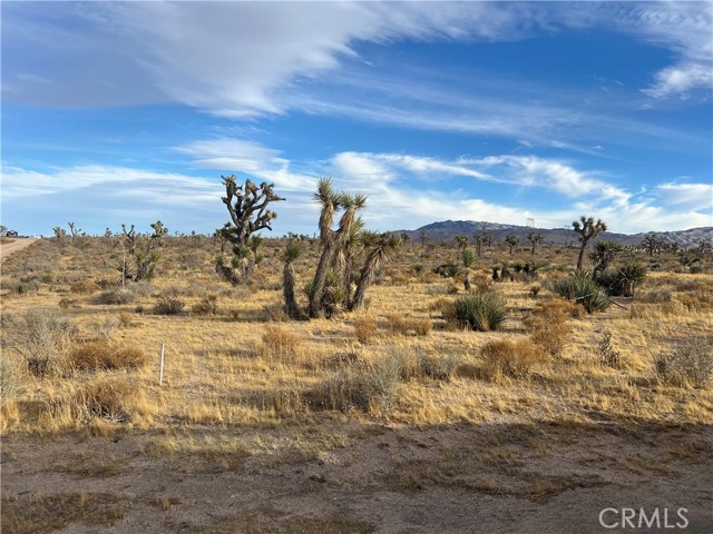 23926 Poppy Road, Apple Valley CA: https://media.crmls.org/medias/a465269a-d3fe-435e-8605-f53082581ad5.jpg