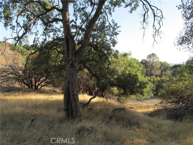 Detail Gallery Image 48 of 54 For 2 Ac Old Oaks Ct, North Fork,  CA 93643 - – Beds | – Baths