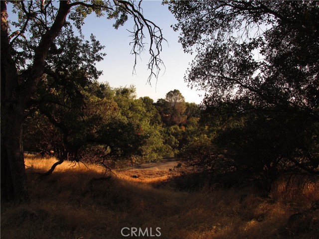 Detail Gallery Image 9 of 54 For 2 Ac Old Oaks Ct, North Fork,  CA 93643 - – Beds | – Baths