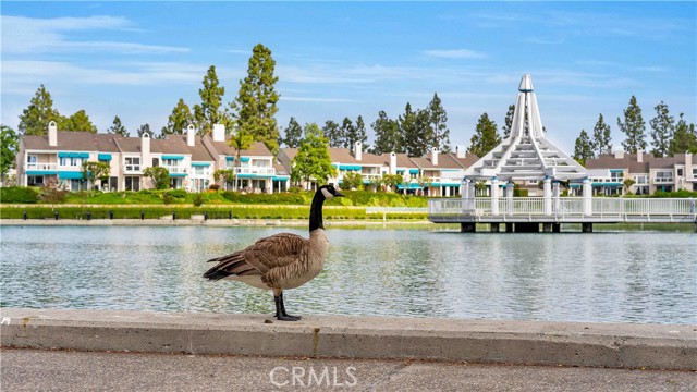 65 Pinewood, Irvine CA: https://media.crmls.org/medias/a4684e90-ed8c-48a7-b15a-bd90b655fb92.jpg