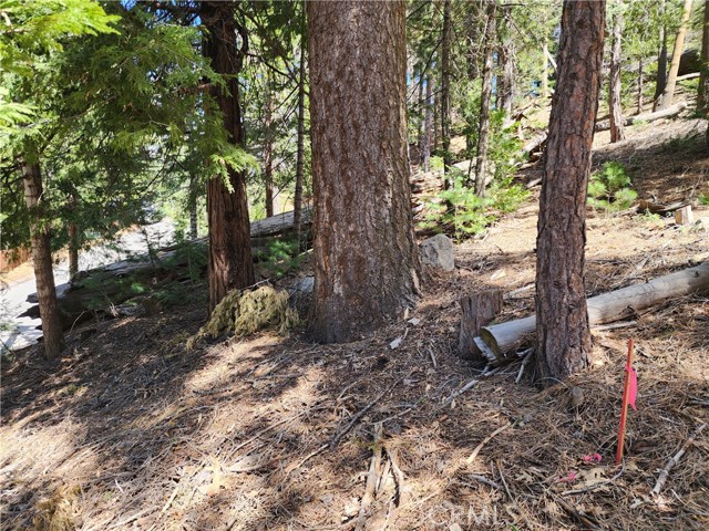 Detail Gallery Image 19 of 24 For 586 Rose, Twin Peaks,  CA 92391 - – Beds | – Baths