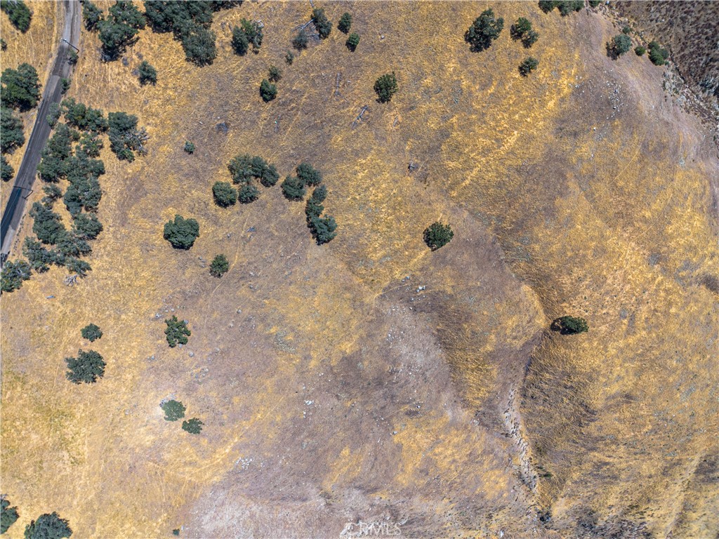 MLS #SR25172825 img 7