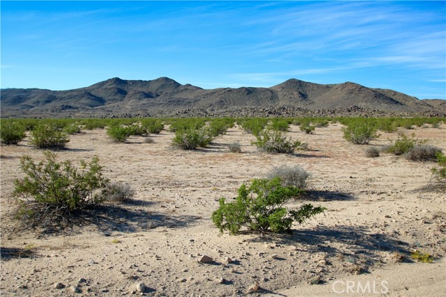 Detail Gallery Image 10 of 20 For 63305 Ranier Rd, Joshua Tree,  CA 92252 - – Beds | – Baths