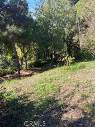 Detail Gallery Image 37 of 37 For 3633 Lavell Dr, Los Angeles,  CA 90065 - 1 Beds | 1 Baths