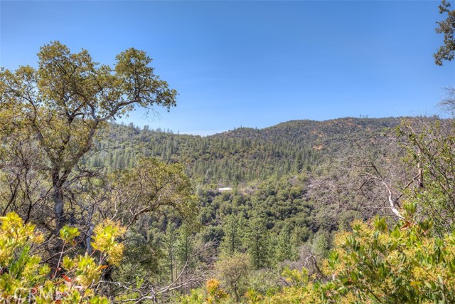 Detail Gallery Image 25 of 33 For 8700 Oro Quincy, Berry Creek,  CA 95916 - – Beds | – Baths