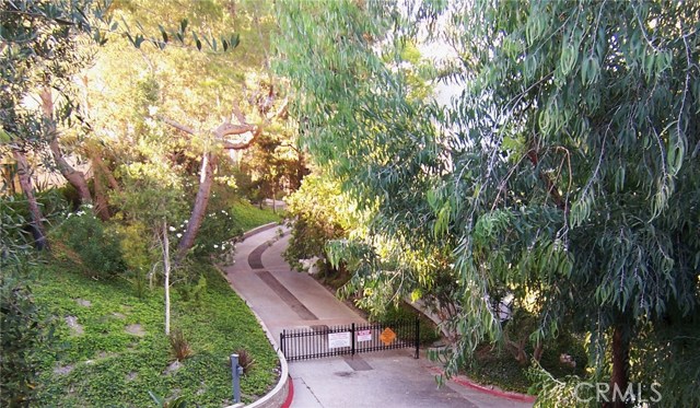 Partial View of the Interior Walking Path (Fire Road)