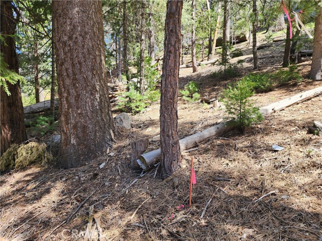 Detail Gallery Image 18 of 24 For 586 Rose, Twin Peaks,  CA 92391 - – Beds | – Baths