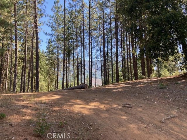 0 Tawny, Lakehead, CA, 96051 0 Tawny, Lakehead, CA, 96051
