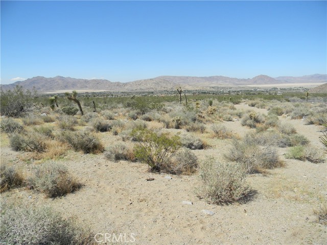 WESTERN VIEW