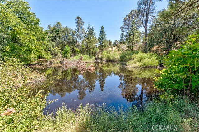 Detail Gallery Image 42 of 55 For 57270 Thunder Way, North Fork,  CA 93643 - 3 Beds | 2 Baths