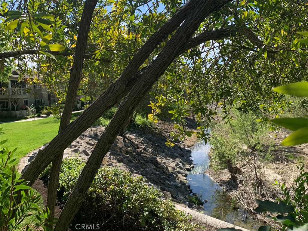 https://media.crmls.org/medias/a486ad54-2d1b-4e36-a5c9-0101da4399c5.jpg?preset=X-Large