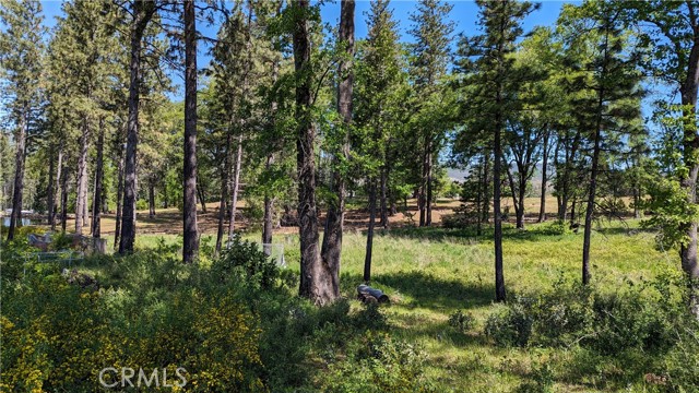 Detail Gallery Image 16 of 20 For 4023 Kakini Rd, Oroville,  CA 95965 - – Beds | – Baths