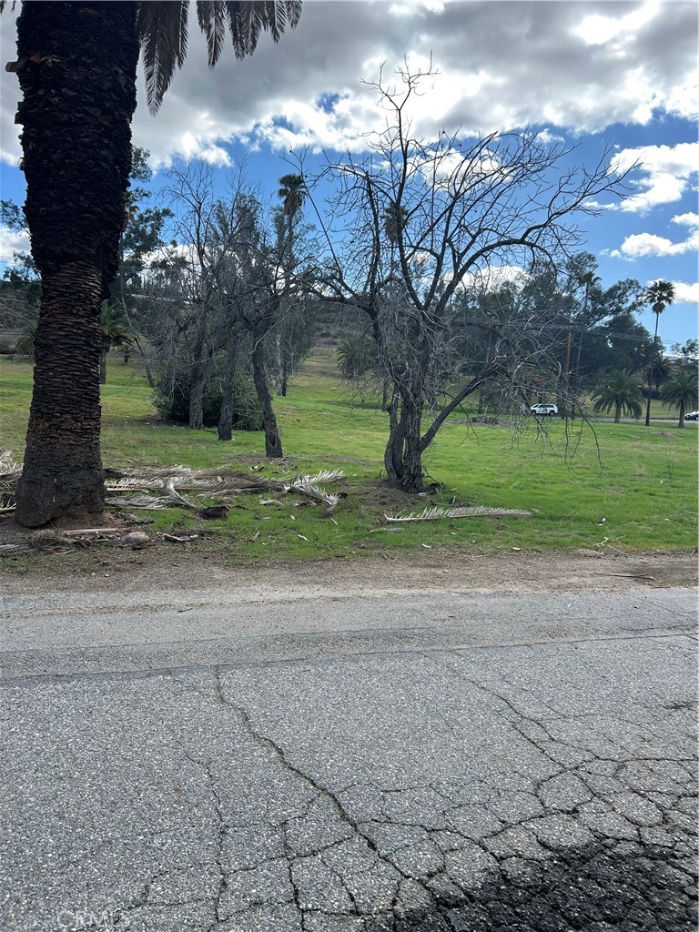 MLS #SW25049698 img 5
