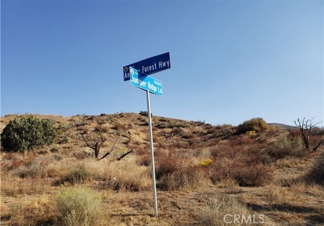 0 Vac/Vic Oracle Hills/Dusty Trail, Acton, California 91350, ,Land,For Sale,0 Vac/Vic Oracle Hills/Dusty Trail,CRSR24027628