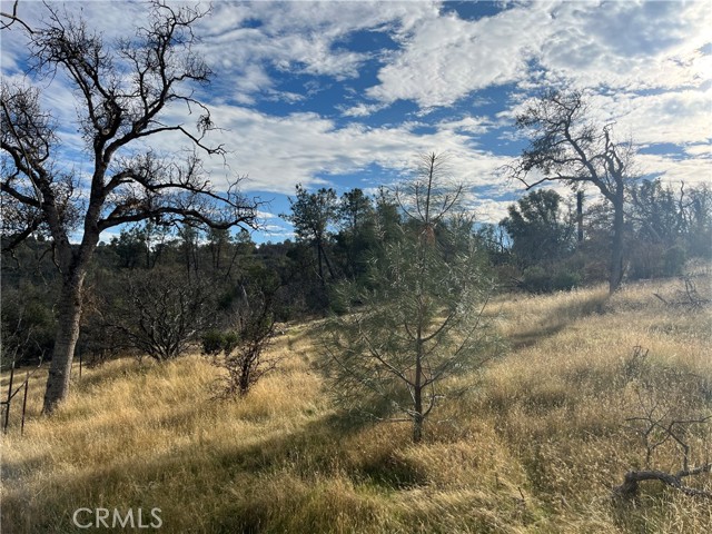 Detail Gallery Image 49 of 69 For 4934 Guadalupe Fire, Catheys Valley,  CA 95306 - – Beds | – Baths