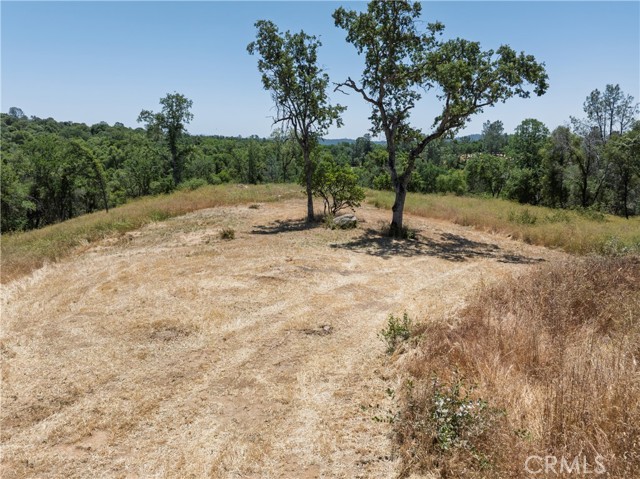 Detail Gallery Image 11 of 19 For 3 Acres Serendipity Ln, Coarsegold,  CA 93614 - – Beds | – Baths