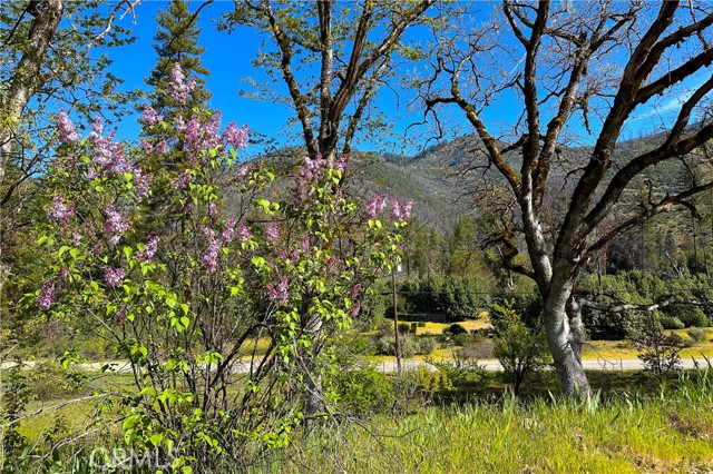 Detail Gallery Image 8 of 35 For 1271 Lake, –,  CA 96048 - – Beds | – Baths