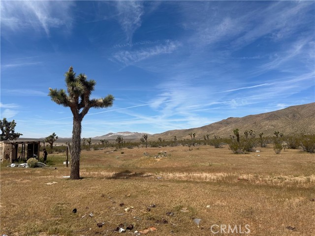 Detail Gallery Image 7 of 19 For 26705 Corwin, Apple Valley,  CA 92307 - – Beds | – Baths