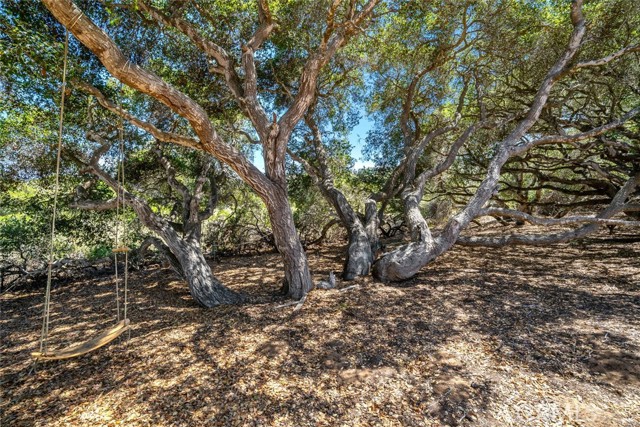 1606 Valley View Drive, Los Osos CA: https://media.crmls.org/medias/a491dabe-7a79-46b6-aea6-0ad21f260fd9.jpg