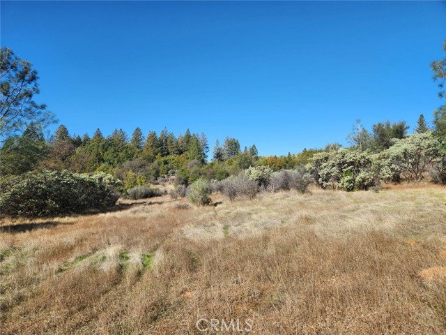 Detail Gallery Image 3 of 32 For 14444 Labadie, Dobbins,  CA 95935 - – Beds | – Baths