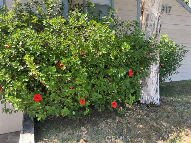 Detail Gallery Image 40 of 53 For 9917 Independence Ave #B,  Chatsworth,  CA 91311 - 2 Beds | 2/1 Baths