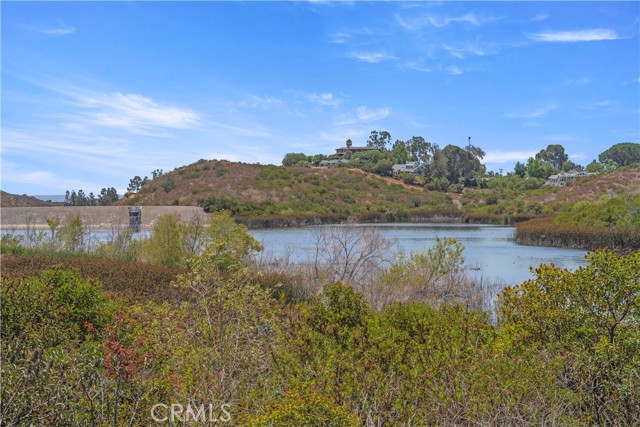 Detail Gallery Image 52 of 54 For 256 N Hickory Branch Ln, Orange,  CA 92869 - 4 Beds | 2/1 Baths