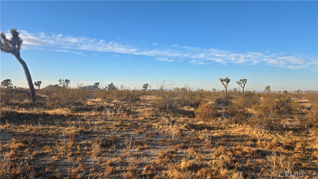 MLS #SR25151837 image #7