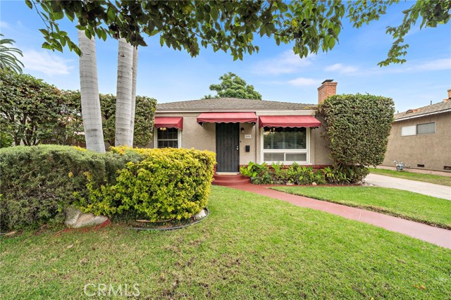 Front Image Thumbnail for CROC25251300