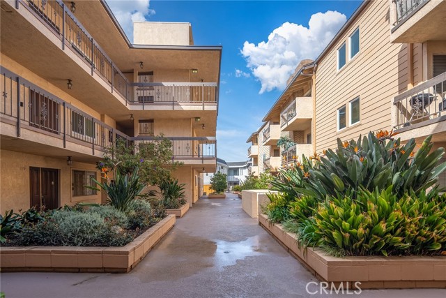 6151 Canterbury Drive, Culver City CA: https://media.crmls.org/medias/a4a4bd3d-0ce9-4ed6-8ee0-4faa41e45df4.jpg