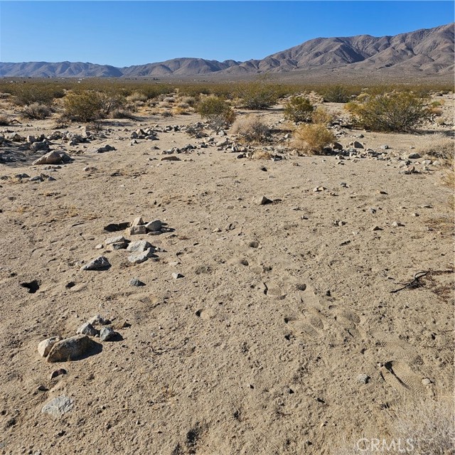 Detail Gallery Image 6 of 6 For 1234 Walker Rd, Johnson Valley,  CA 92285 - – Beds | – Baths