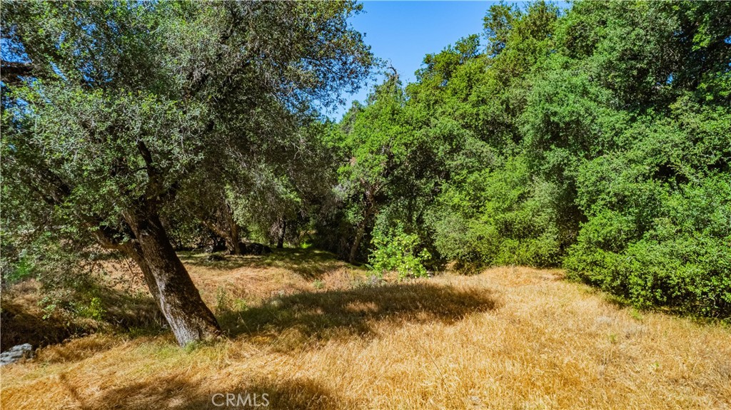 MLS #SW25133370 image #3