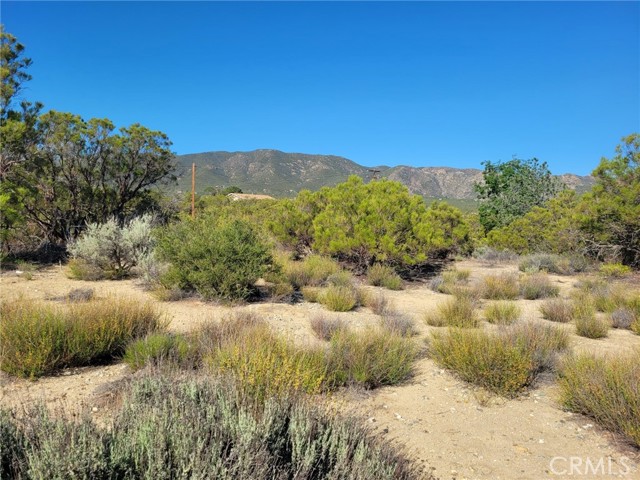 Detail Gallery Image 4 of 30 For 0 Thunder Rd, Anza,  CA 92539 - – Beds | – Baths