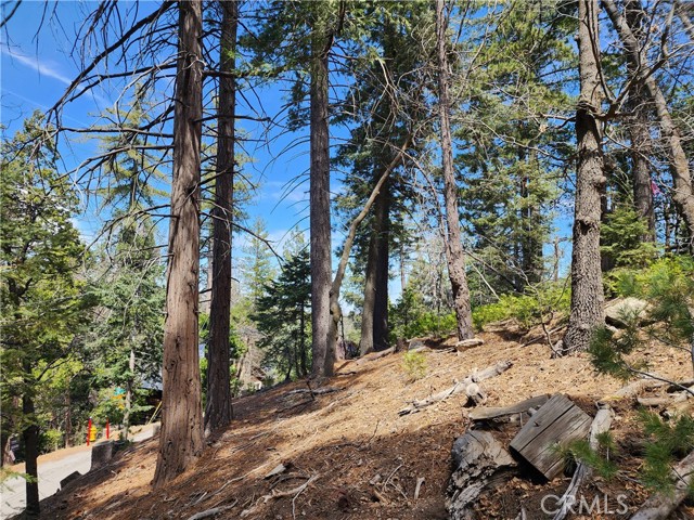 Detail Gallery Image 16 of 24 For 586 Rose, Twin Peaks,  CA 92391 - – Beds | – Baths