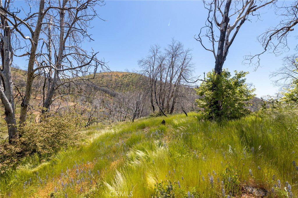 MLS #MP25088475 image #63