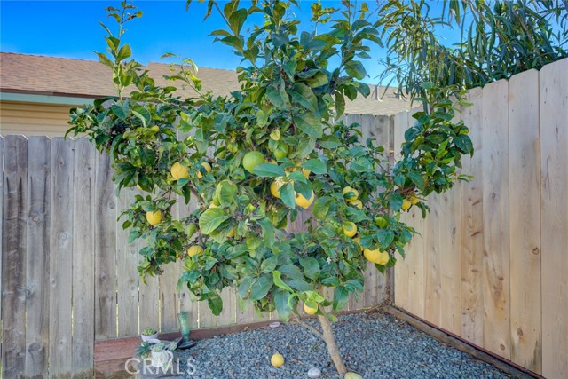 Detail Gallery Image 49 of 63 For 1348 Avenida Pelicanos, Oceano,  CA 93445 - 3 Beds | 2 Baths