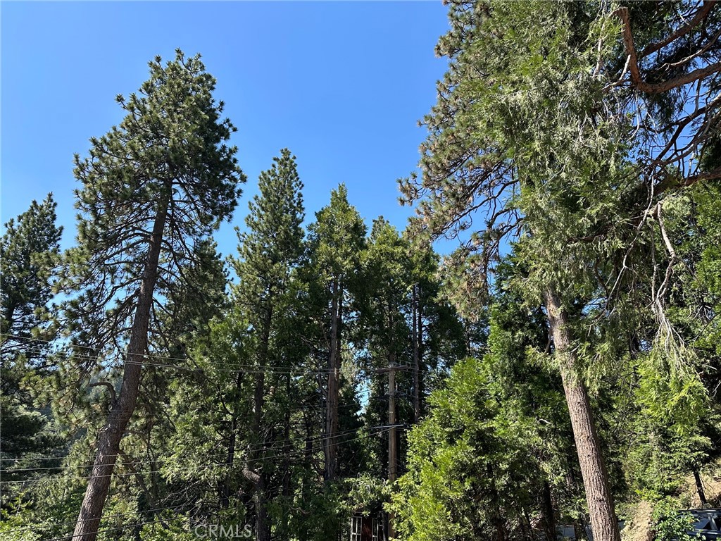 https://media.crmls.org/medias/a4b95449-4ec7-4278-a91b-eceb4b14ea54.jpg?preset=X-Large
