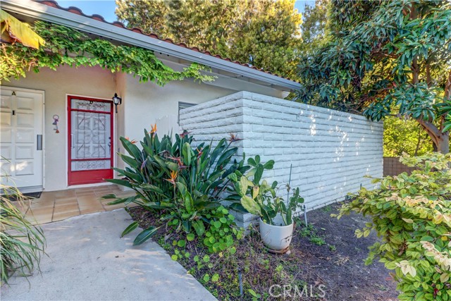 Front Image Thumbnail for CROC25271465