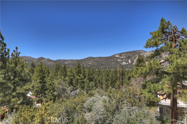 Detail Gallery Image 42 of 50 For 541 S Marlowe Dr, Big Bear City,  CA 92314 - 2 Beds | 1/1 Baths