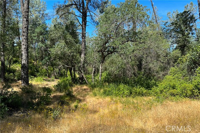 Detail Gallery Image 18 of 19 For 9200 Silver King Rd, Redding,  CA 96001 - – Beds | – Baths