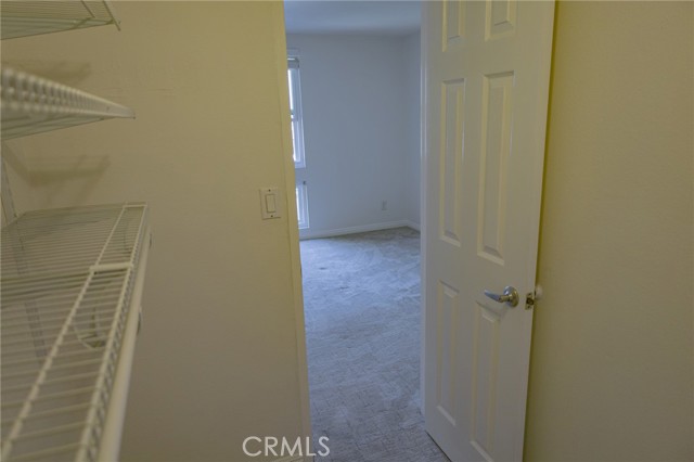 Master closet door