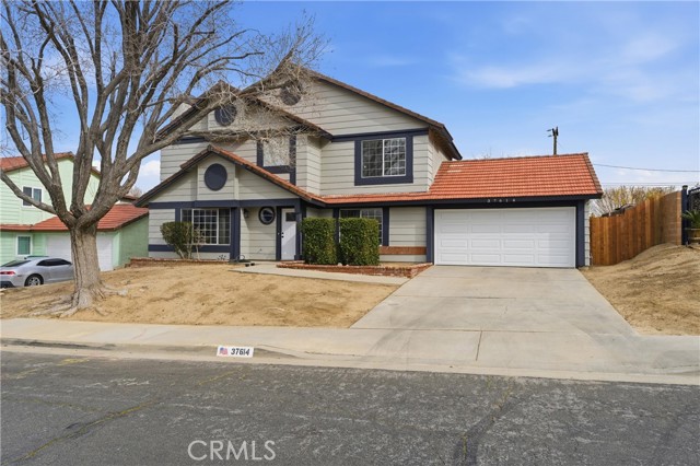 Front Image Thumbnail for CROC26013188