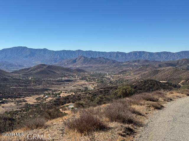 Detail Gallery Image 5 of 14 For 4700 Shannon View Rd, Acton,  CA 93510 - – Beds | – Baths